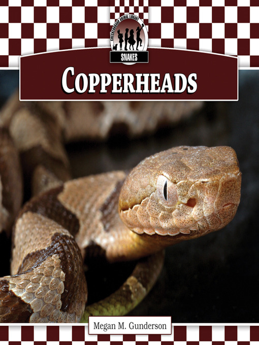 Cover image for Copperheads